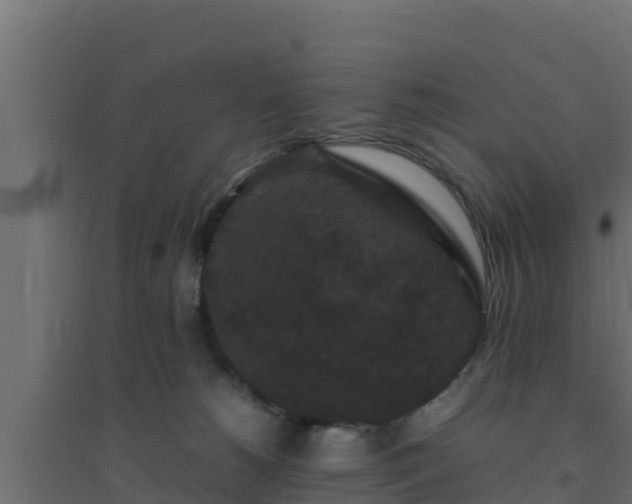 X0000094820180200711241516