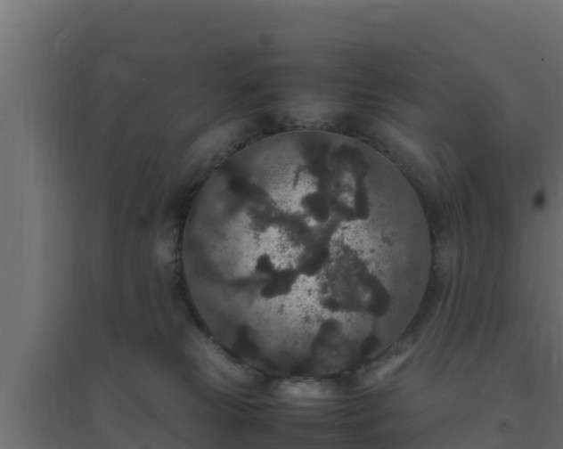 X0000094820181200711241516
