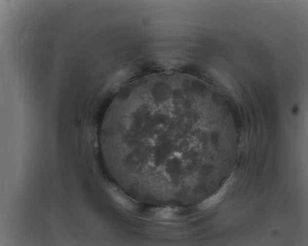 X0000094820182200711241516