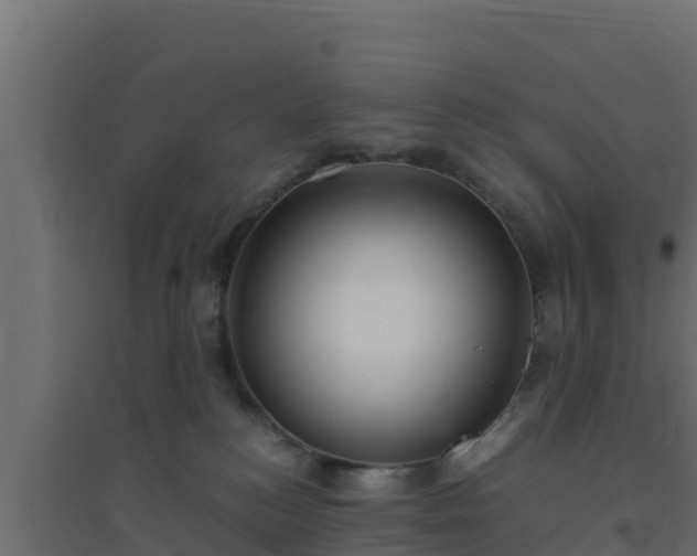 X0000094820184200711241516