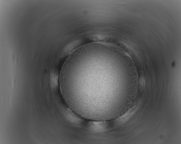 X0000094820188200711241516