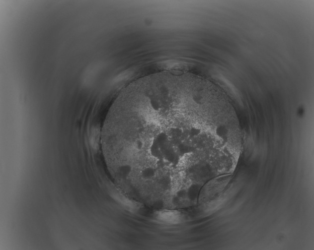 X0000094820189200711241516
