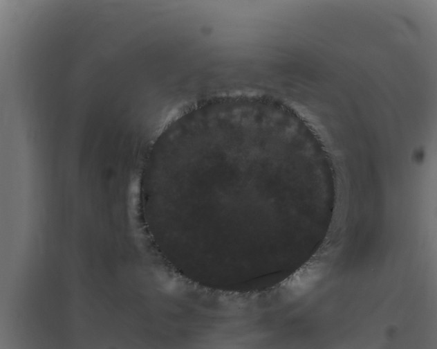 X0000094820192200711241516