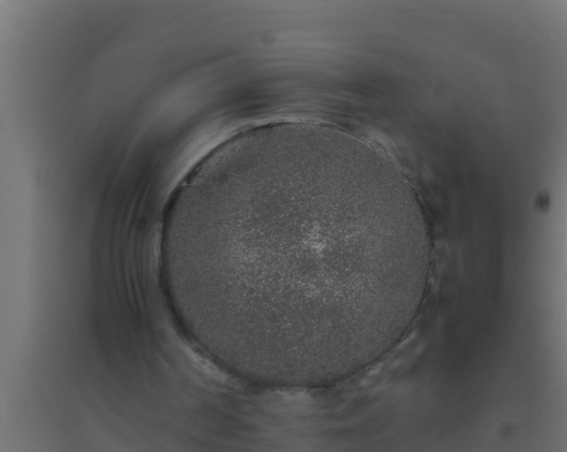 X0000094820194200711241516