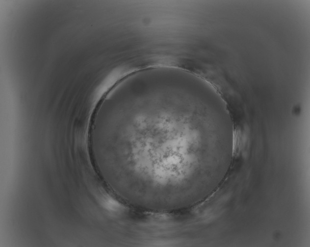 X0000094820195200711241516