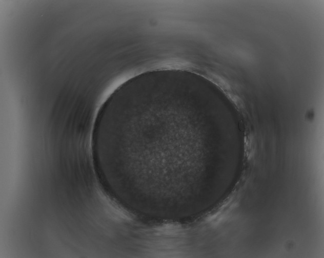X0000094820196200711241515