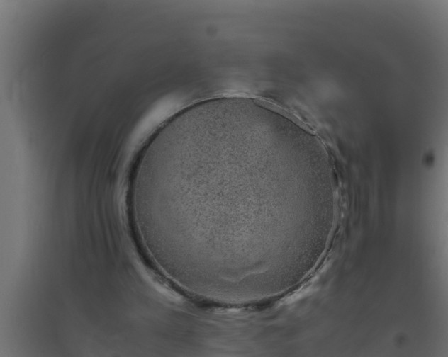 X0000094820197200711241515