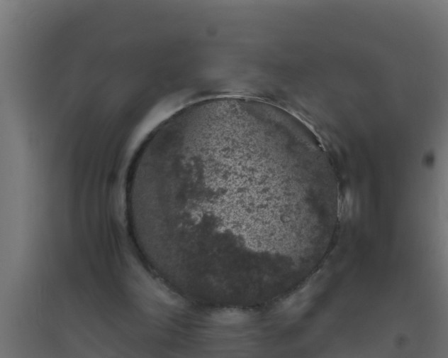 X0000094820198200711241515