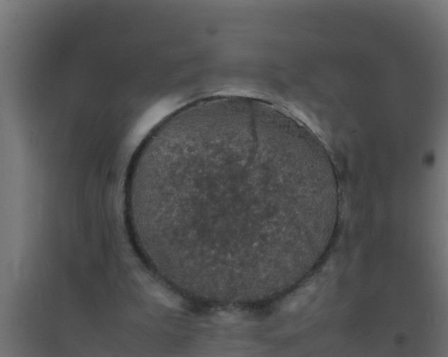 X0000094820199200711241515