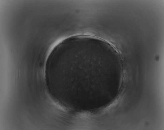 X0000094820200200711241515