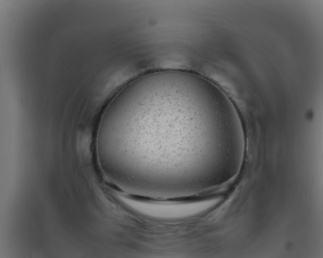 X0000094820201200711241515