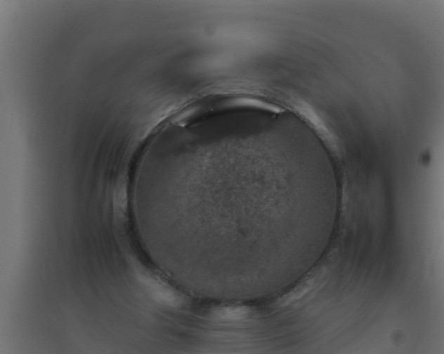 X0000094820202200711241515