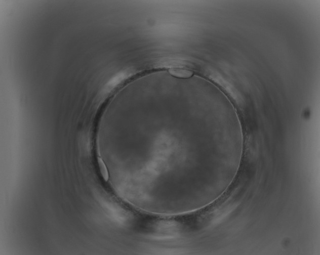 X0000094820203200711241515