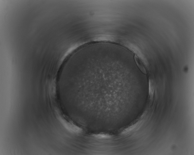 X0000094820204200711241515