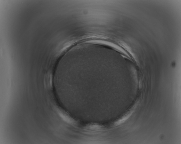 X0000094820205200711241515