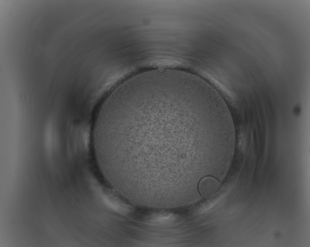 X0000094820206200711241515