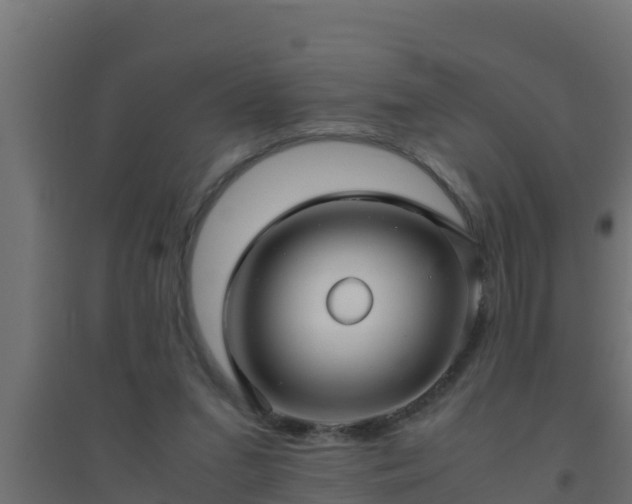X0000094820207200711241515