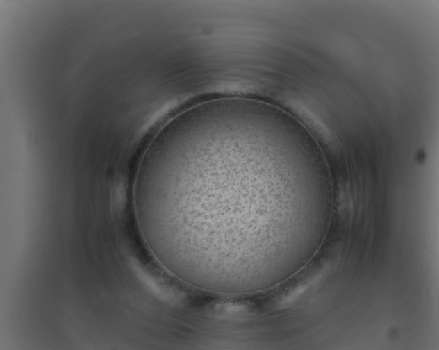 X0000094820208200711241515