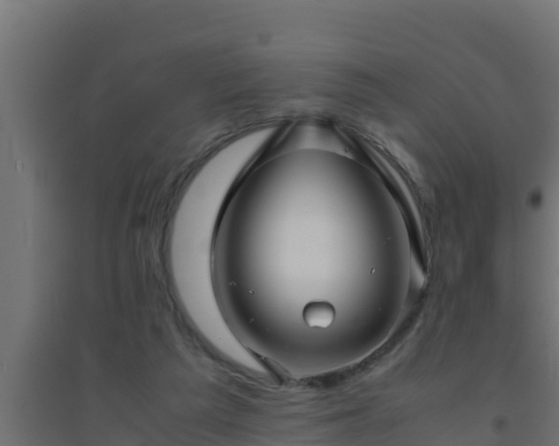 X0000094820209200711241515
