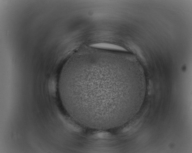 X0000094820210200711241515