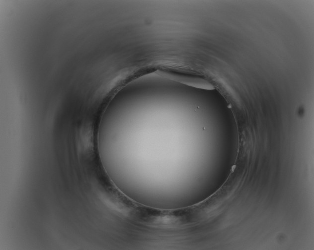 X0000094820212200711241515
