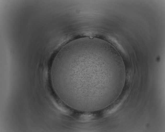 X0000094820213200711241515