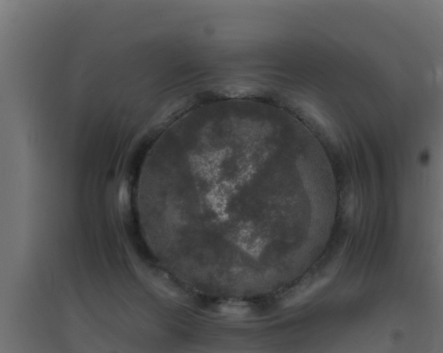 X0000094820214200711241515