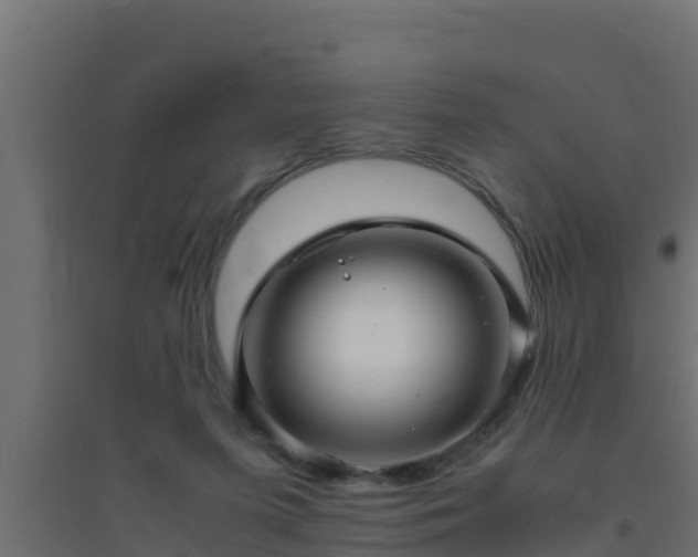 X0000094820215200711241515