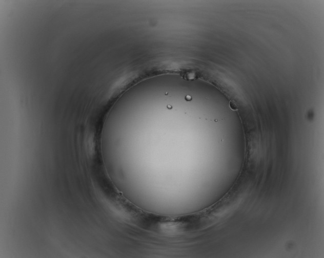 X0000094820216200711241515
