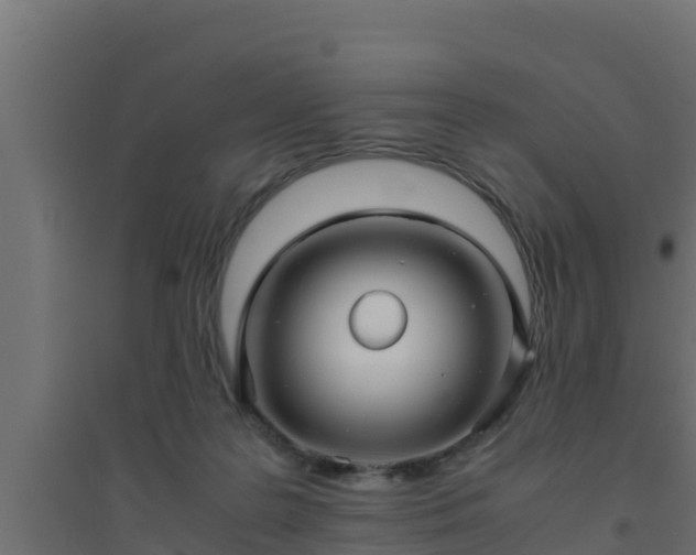 X0000094820219200711241515