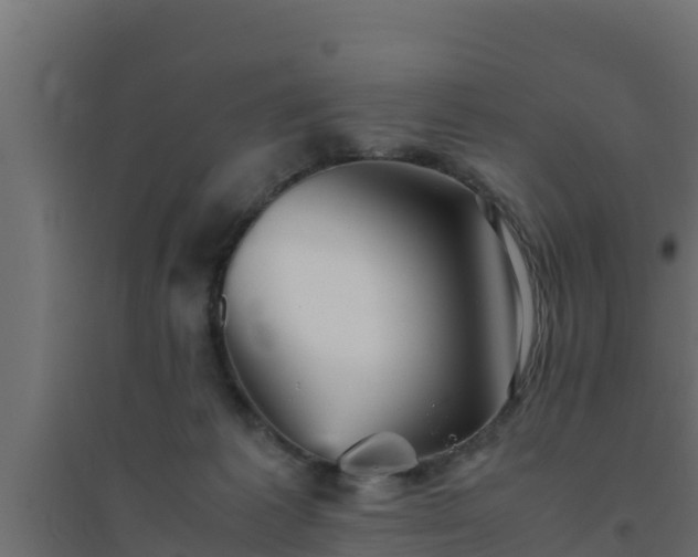 X0000094820221200711241515