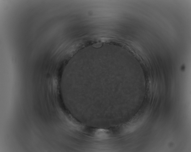 X0000094820222200711241515
