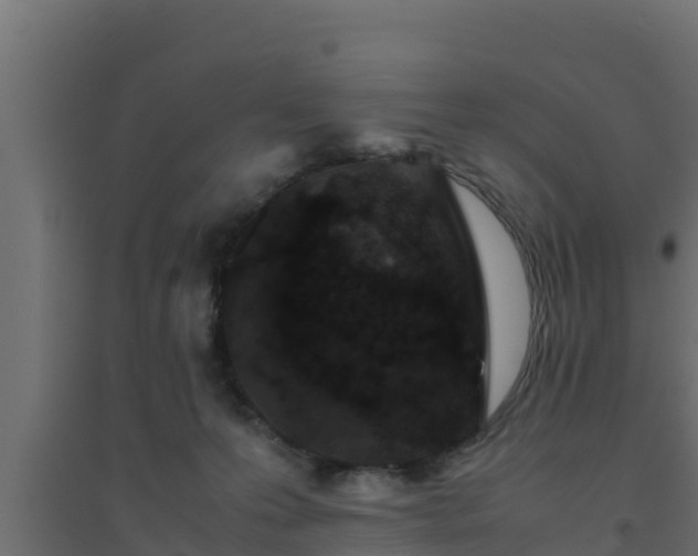 X0000094820223200711241515