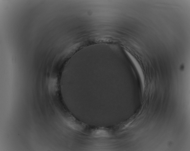 X0000094820224200711241515