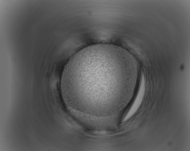 X0000094820225200711241515