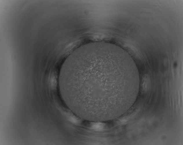 X0000094820226200711241515
