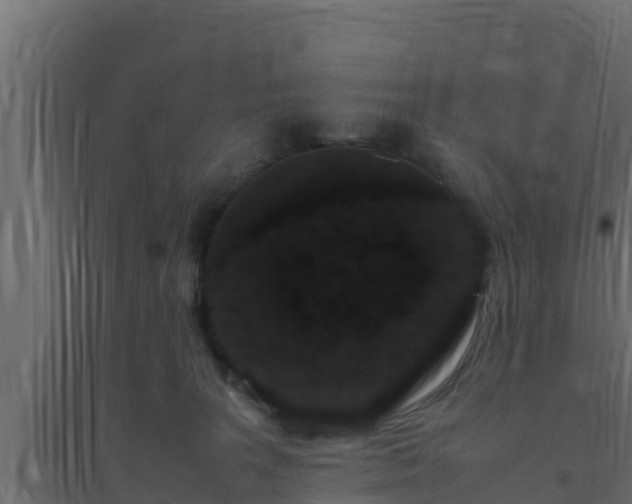 X0000094820227200711241515