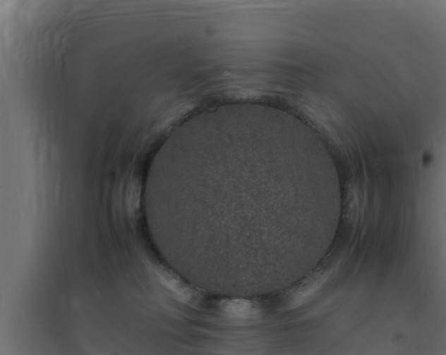 X0000094820230200711241515