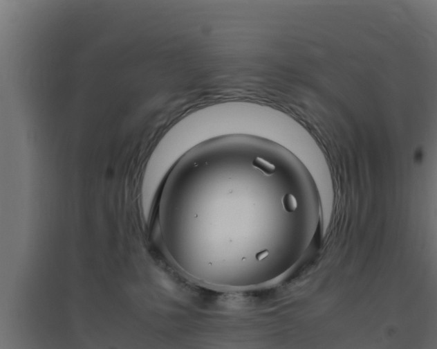 X0000094820231200711241515