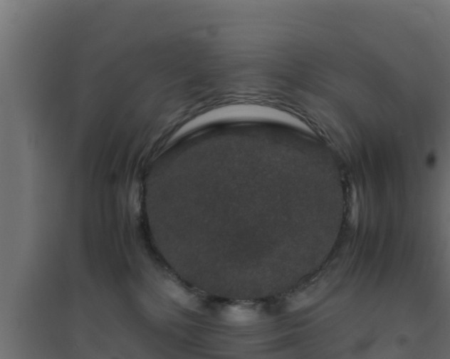 X0000094820232200711241515