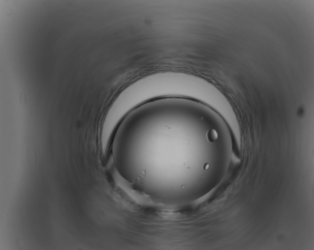 X0000094820233200711241515