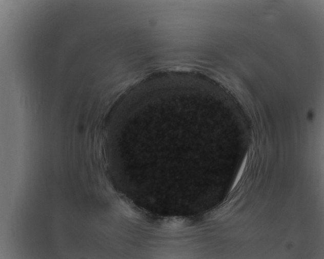 X0000094820235200711241515