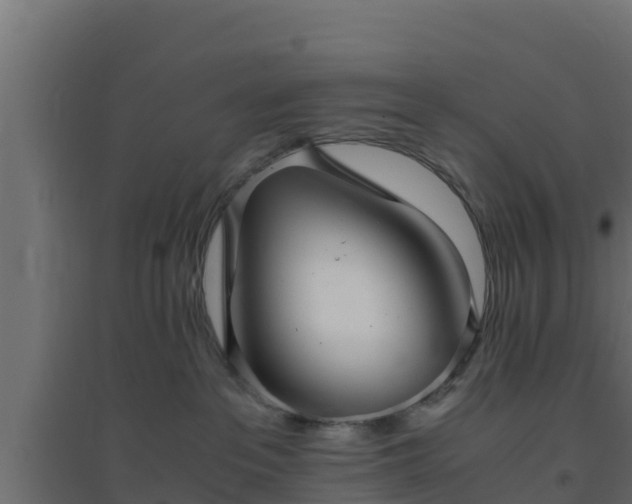 X0000094820237200711241515