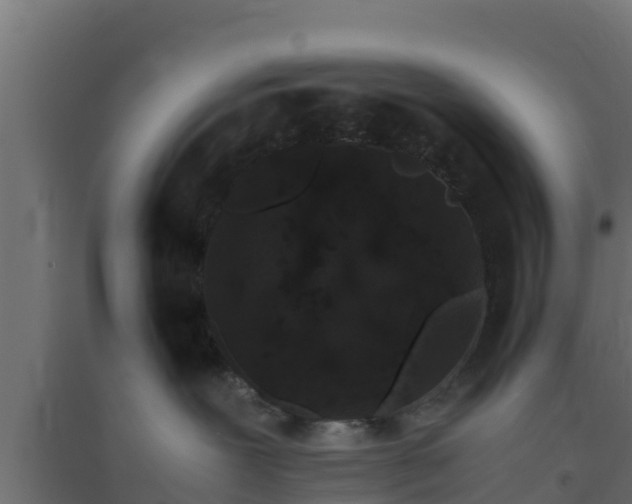 X0000094820239200711241515