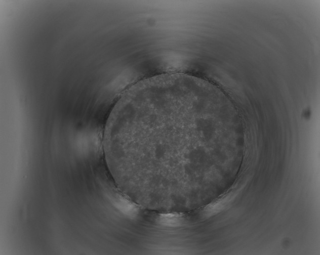 X0000094820240200711241515