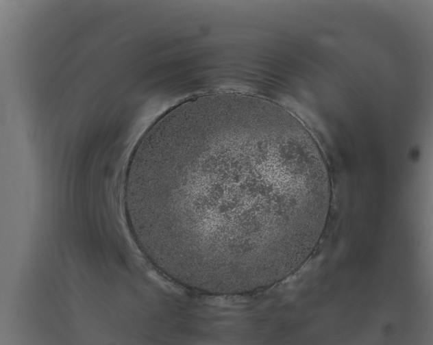 X0000094820241200711241514