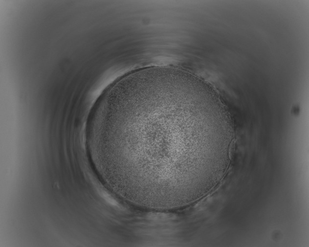 X0000094820242200711241514