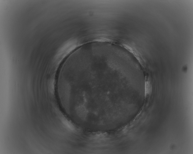 X0000094820243200711241514