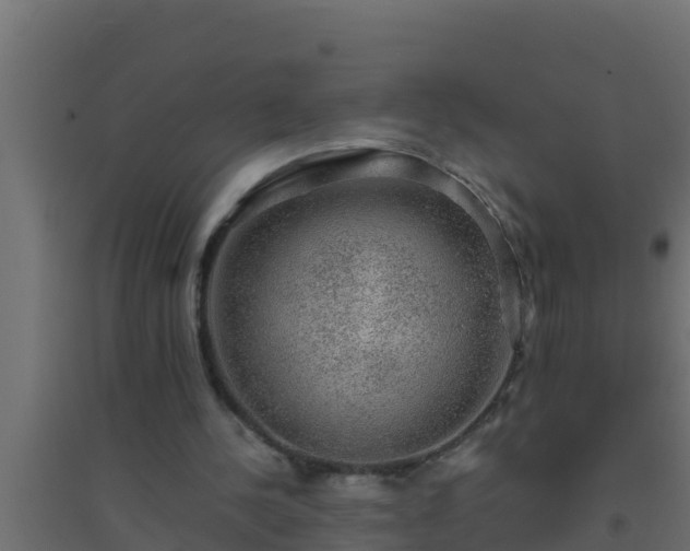 X0000094820244200711241514