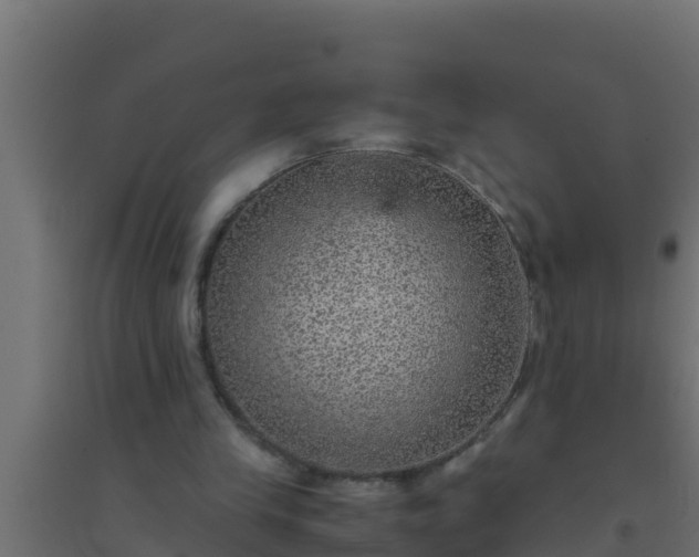 X0000094820245200711241514